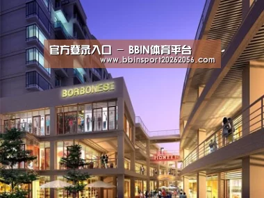案例展示一
