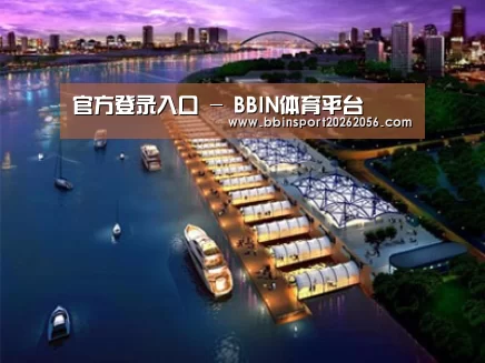 案例展示八