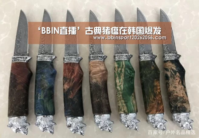 ‘BBIN直播’古典猪瘟在韩国爆发(图1) BBIN赛事