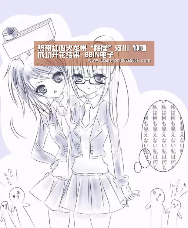 BBIN直播