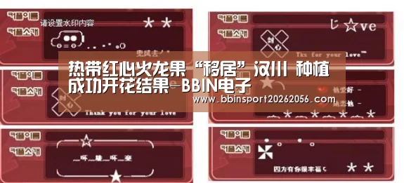BBIN电子