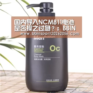 国内导入NCM811电池 是否操之过急?:BBIN直播(图2) BBIN体育