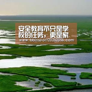 安全教育不只是学校的任务,更是家长的责任‘BBIN电子’(图4) BBIN直播