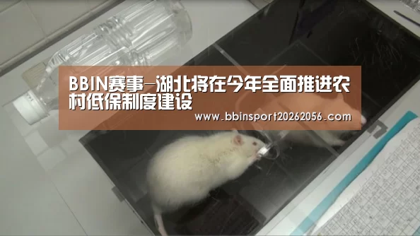 BBIN赛事-湖北将在今年全面推进农村低保制度建设(图1) BBIN赛事